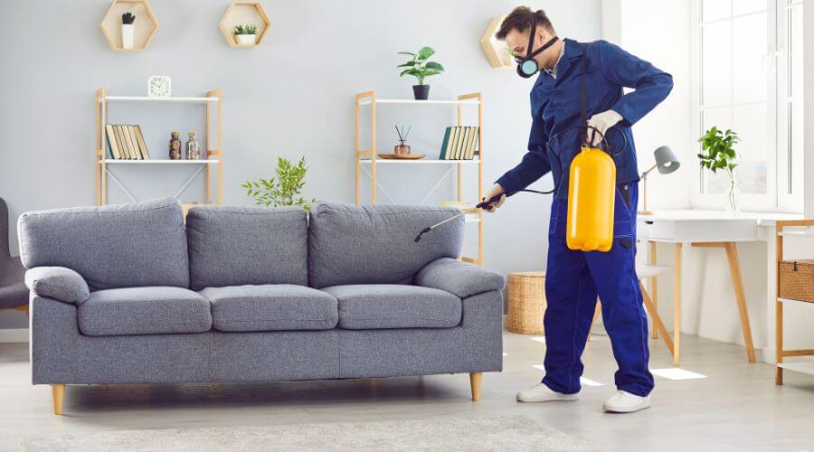 Professional office building treatments services in Snyderville (CDP) - Office Building Treatments Snyderville (CDP)