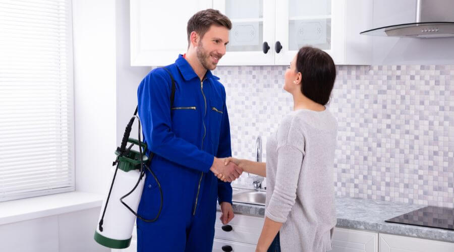 Why choose Office Building Treatments Snyderville (CDP) for office building treatments in Snyderville (CDP)